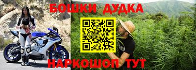 тгк Партизанск
